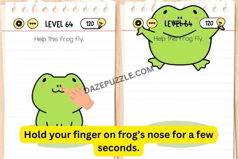 brain test 64 help this frog.